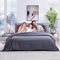 Ensemble de draps de lit en fibre de bambou 100% moderne et rafraîchissant, tissage solide, doux, respirant, confortable, luxueux, 300 fils, antibactérien, 16 pouces de profondeur