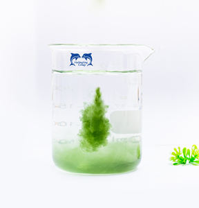 Oumika الطحالب ج العضوية السائل النقي مستخلص الأعشاب البحرية مع ارتفاع حمض الألجنيك Polysaccharides10-12 % الصانع - Product Image 4