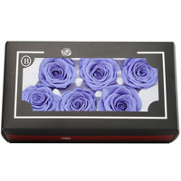 Vente en gros en Chine, lot de 6 roses éternelles de qualité A, 100% conservées, 5-6 cm, boîte à ombre pour cadeau de Noël
