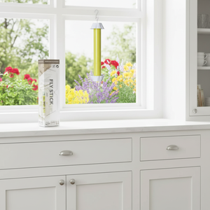 Trampa Adhesiva para Moscas, No Tóxica, para Atrapar Moscas de la Fruta y <span class=keywords><strong>Avispas</strong></span>, para Hogar, Cocina, Jardín y Granja - Product Image 4