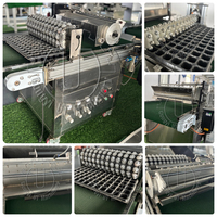 Machine automatique de remplissage de plateaux de semis, semoir commercial pour légumes et fleurs, ligne de plantation pour pépinière
