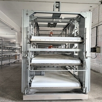 Système de cage à batterie de type H, équipement d'élevage avicole automatique pour ferme avicole commerciale