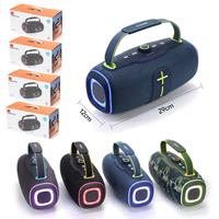 Subwoofer portable haute puissance pour enceinte avec entrées USB et AUX, étanche IPX6, commande vocale, éclairage RGB