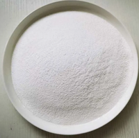 Venta Directa de Fábrica de Acetato Butirato de Celulosa (CAB-381-20) CAS 9004-36-8 a Buen Precio