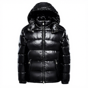 Veste matelassée à capuche pour homme, imperméable, rembourrée de duvet, fermeture éclair, couleur unie, vêtement d'hiver décontracté, coupe classique - Product Image 1