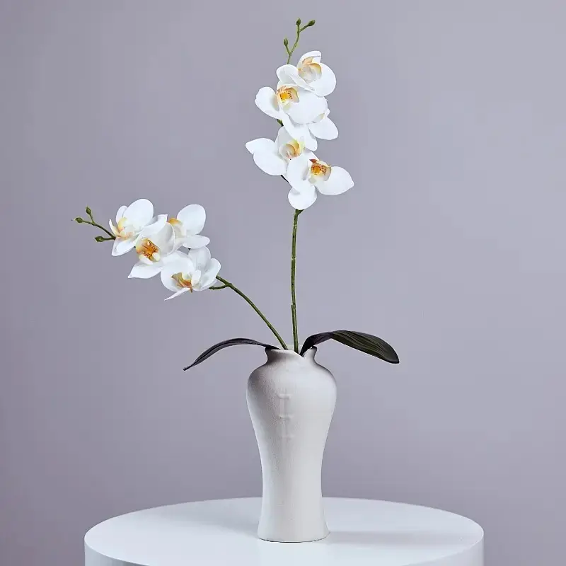 ديكور منزلي مطبوع ثلاثي الأبعاد بجودة عالية ، نبات اللاتكس ، زهرة أوركيد فراشة بيضاء في ،