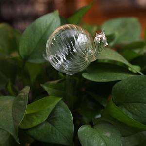 Globes d'arrosage en verre soufflé à la main, autonomes pour les plantes d'intérieur et d'extérieur, fabriqués à partir de matériaux sains et respectueux des plantes - Product Image 6