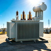 Transformateur immergé dans l'huile triphasé S11 250KVA, applications d'électrification industrielle et rurale, transformateur de puissance