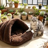 Lit pour animaux de compagnie Yangyangpet personnalisé pour chats, petits chiens, chiots, lit en forme de chaussure géante avec coussin