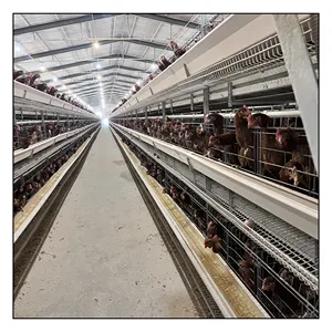 Automatic Layer Poultry Farming Equipment Battery Chicken Egg Layer Cage System poultry equipment chicken farming