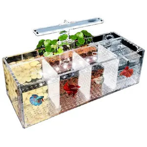 Hot Selling Nieuwe Fish Tank Fokken Incubator Isolatie Box Water Gratis Desktop Kleine Acryl Ecologische Aquarium Tank