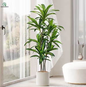Kunstmatige boom in <span class=keywords><strong>pot</strong></span>, Bonsai Maïs Dracaena Fragrans Dracaena Sanderiena, kunststof plantenpot voor thuis, tuin, kantoor, veranda decoratie - Product Image 5