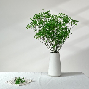 Fleurs de Gypsophile Séchées en Vrac - Nouveauté 2025 Décoration de Mariage Cadeaux de la Saint-Valentin Décoration Intérieure Florale Sabe - Product Image 4