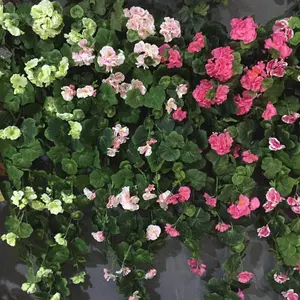 YAYUN A-1168 60cm künstliche Haing Begonia Geranium Pflanze