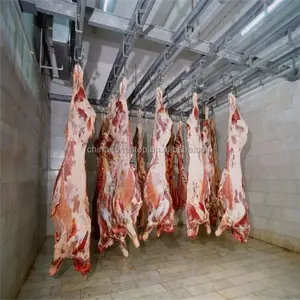 Turnkey Abattoir Equipment Cattle Cow Beef Slaughtering Equipment