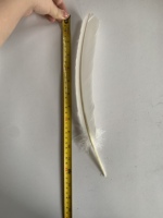 1 plume de dinde blanche teinte pour artisanat DIY coiffure chapeau costume Cosplay accessoire carnaval fête mariage maison décor floral