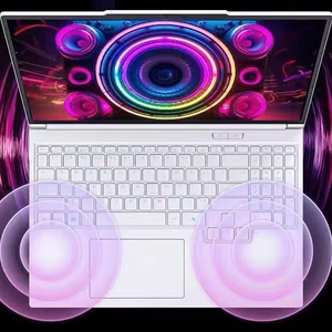 Ordinateur portable Intel mécanique 2025 X Pro I9-14900HX 24 cœurs 5,8 GHz RTX5070Ti 12G GDDR6 SSD 300Hz 16:10 rétroéclairage RVB Windows 11 - Product Image 1