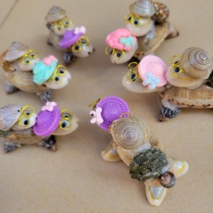 Doppio strato piccolo nero tartaruga artigianale conchiglia madre bambino tartaruga conchiglia conchiglia per decorazioni natalizie piccola bancarella del mercato notturno - Product Image 3