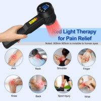 Appareil de thérapie au laser froid infrarouge synergique à double longueur d'onde 808 nm 905 nm pour la physiothérapie animale et le soulagement de la douleur humaine