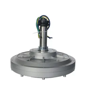 3kW Low RPM Axial flux coreless permanent magnet generator for vertical wind turbine
