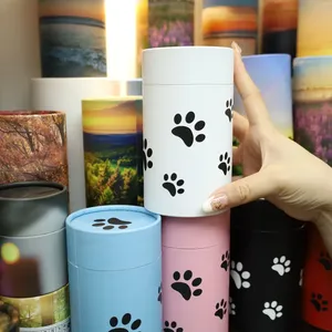 Động Vật Vật Nuôi Mèo Con Chó Dấu Chân Phân Hủy Sinh Học Hộp Bao Bì Giấy, Hội Đồng Quản Trị, Đốt Tro Lỏng Ống Xương Hộp Tro - Product Image 6