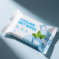 Fournisseur de lingettes rafraîchissantes à marque privée pour voyages, gym, extérieur, usage quotidien, lingettes rafraîchissantes à la menthe, fabricant OEM