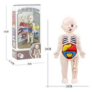 14 pièces modè<span class=keywords><strong>le</strong></span> éducatif 3D blocs scientifiques modè<span class=keywords><strong>le</strong></span> de construction jouets éducation précoce modè<span class=keywords><strong>le</strong></span> d'organe <span class=keywords><strong>humain</strong></span> - Product Image 5