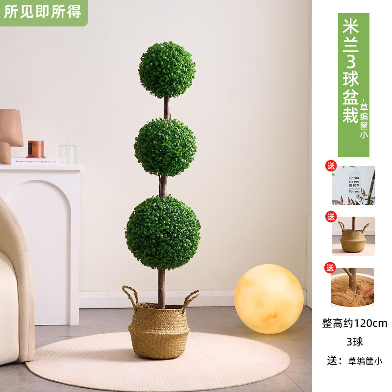 Pianta in vaso Milano 3 sfere da 120 cm + cesto in erba