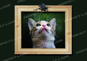 Stampante Murale Verticale Portatile 3D 5D a Colori di Alta Qualità con Ruote Perfect Laser - Product Image 3