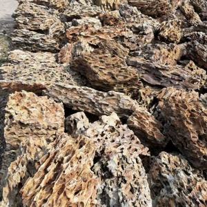 <span class=keywords><strong>Aquarium</strong></span> Landschapsarchitectuur Fijne Dennenhuid Steen Voor <span class=keywords><strong>Aquarium</strong></span> Landschapsarchitectuur - Product Image 5