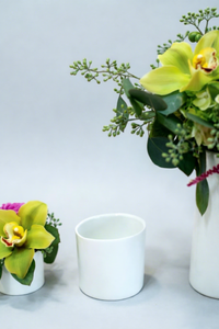 Оптовая продажа: Элегантный мини-горшок для растений в стиле Ins, 3.25"x 3.5", из керамики/глины/фарфора, для цветов и суккулентов - Product Image 4