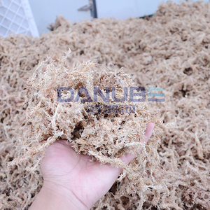 Good Performance Mesh Belt Dryer Seaweed Dehydration Machine Duckweed Cleaning and Drying Line Duckweed Drying Machine - Product Image 5