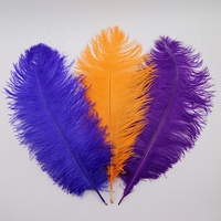 Plumes d'Autruche 40-45 cm En Gros, Colorées Blanches, Grandes Plumes pour Robes de Soirée et de Mariage, Décoration de Chapeau