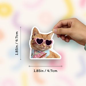Pegatinas Divertidas de Memes de Gatos a Prueba de Agua Personalizadas, Etiquetas de Vinilo Kawaii para Laptop, Botella de Agua, Carcasa de Teléfono, Decoración DIY - Product Image 2