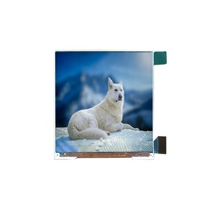 Популярные 3-дюймовый ЖК-дисплей разрешение 720*720 ЖК-модуль 450 cd/m2 яркость весь угол обзора IPS - Product Image 1