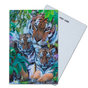 Tarjeta Lenticular 3D Personalizada con Impresión Lenticular 3D Popular 2025, Tarjeta Postal 3D de Navidad y Año Nuevo - Product Image 4