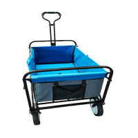 Chariot de transport pliable pour extérieur, camping, plage, pique-nique, chariot de camping pliable pour enfants, capacité 100 kg, acier