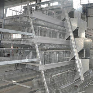 Poulailler de haute qualité pour poussins 500 couches état neuf - Product Image 4