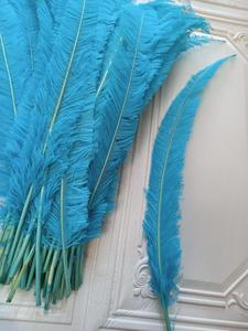 Fabricante de plumas de avestruz de 18-26 pulgadas personalizadas de alta calidad de fábrica <span class=keywords><strong>Nandu</strong></span> de avestruz para decoración de fiestas - Product Image 6