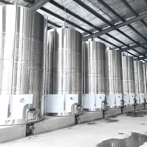 Fermentadores de vino profesionales de acero inoxidable Premium de nuevo diseño con diseños personalizados y control de temperatura