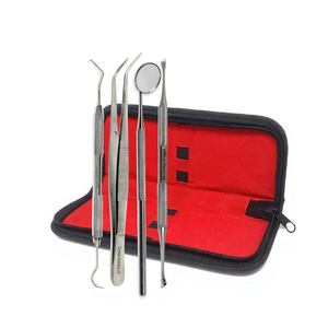 TOP Manual Hygiene Dental Examination Probes Calculus <b>Plaque</b> Tooth Mirror Scalers Set 4 Surgical Dental Instrument Stainless - Product Image 1