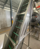 Industriële productielijn voor aardappelchips van 200 kg/uur met automatische friteuse voor snacks