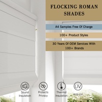 Allbright Personalizzazione OEM Tende a Rullo Motorizzate Smart per Arredamento Casa e Ufficio con Telecomando
