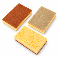 Éponge de nettoyage en sisal et fibre de coco avec couche exfoliante en fibres et éponge absorbante en cellulose, outil de nettoyage pour la vaisselle de cuisine