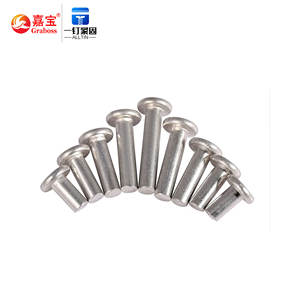 Kit de remaches de aluminio y acero inoxidable, remache de cabeza plana y fina de hierro, remache sólido para freno - Product Image 3