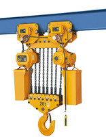 Palans électriques à chaîne personnalisables de marque Weihua Crane, capacités de 1, 2, 3, 5, 10 et 20 tonnes