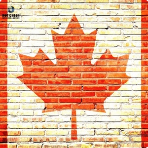 Envio Aéreo Eficiente e Entrega Porta a Porta para Agentes de Dropshipping da China para o México, UE e Austrália - Product Image 3