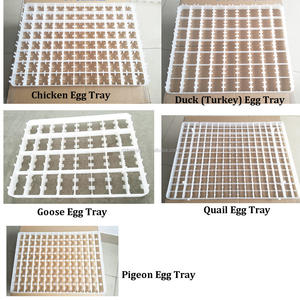 फैक्टरी सीधे बिक्री इनक्यूबेटर स्पेयर पार्ट्स/अच्छी गुणवत्ता के साथ पोल्ट्री फार्म उपयोग अंडे इनक्यूबेटर भागों - Product Image 3