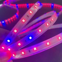 Bande lumineuse LED de culture à double couleur rouge et bleu, SMD 2835, 12 V CC, 12 volts, pour serres