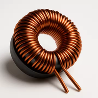 Bobine d'induction toroïdale personnalisée Landa en fil de cuivre émaillé, certifiée ISO9001:2015, livraison rapide – Vente directe usine